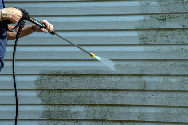 Best Commercial Building Pressure Washing  in Bright, IN