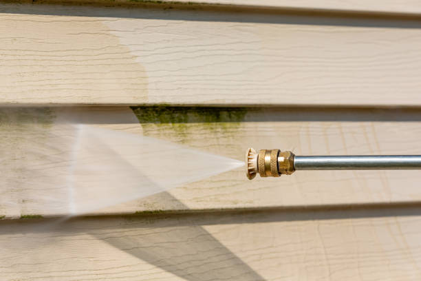Best Residential Pressure Washing Services  in Bright, IN